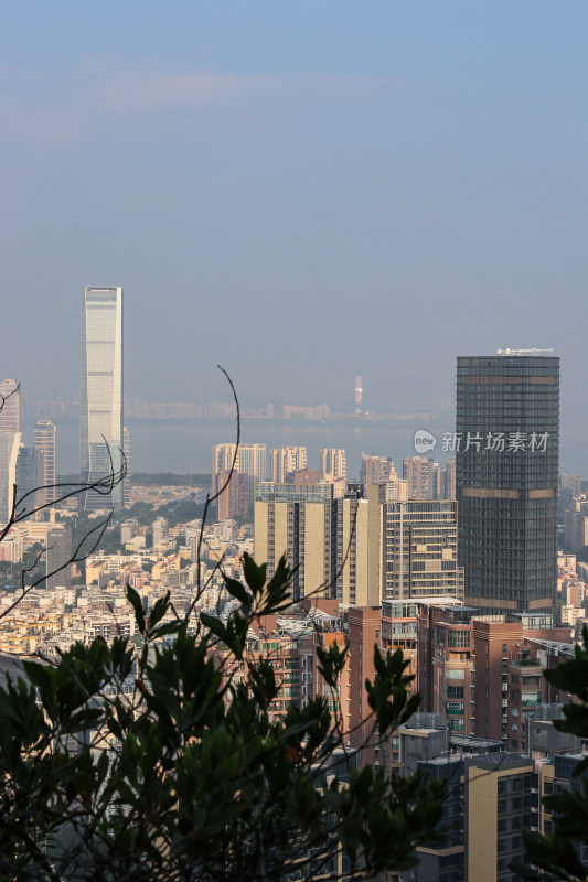 深圳南山区都市建筑风光