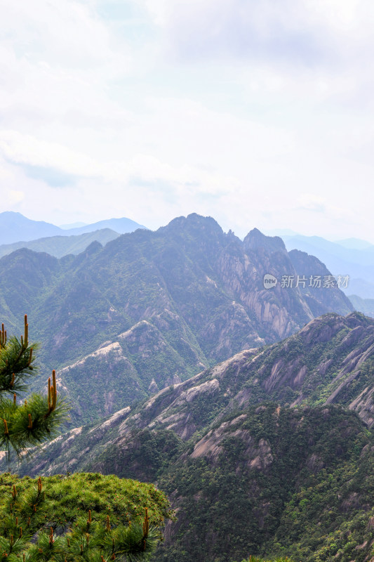 春天黄山自然风光