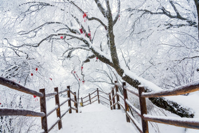 冬天大雪景区步道栏杆