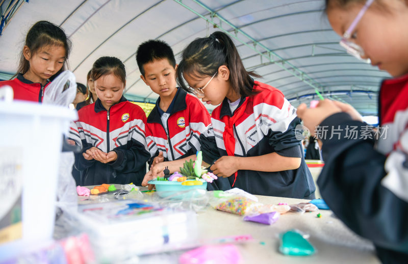 中小学生  劳动教育课程   劳动技能