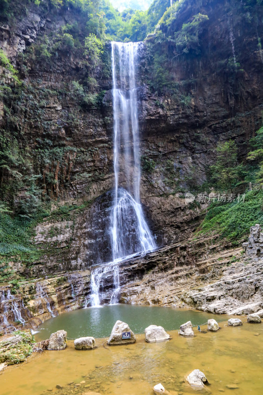 湖北宜昌三峡竹海风景区，自然风光，竹海