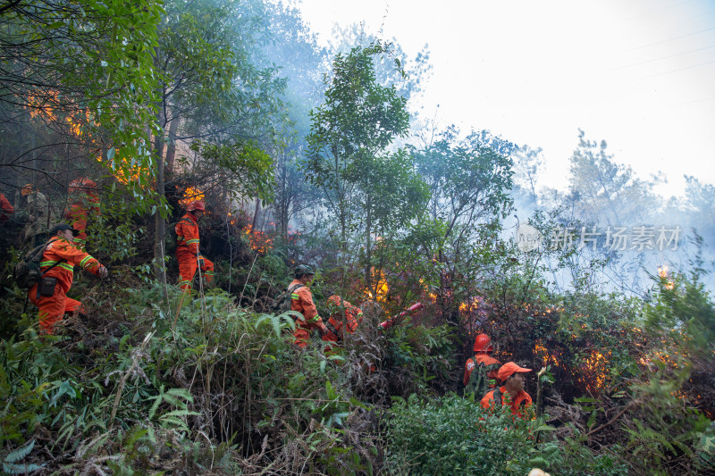 消防队伍在山林火灾现场灭火