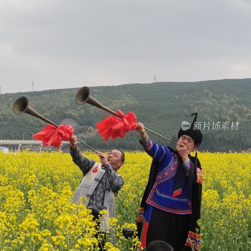 油菜花开春意浓 美丽乡村入画来