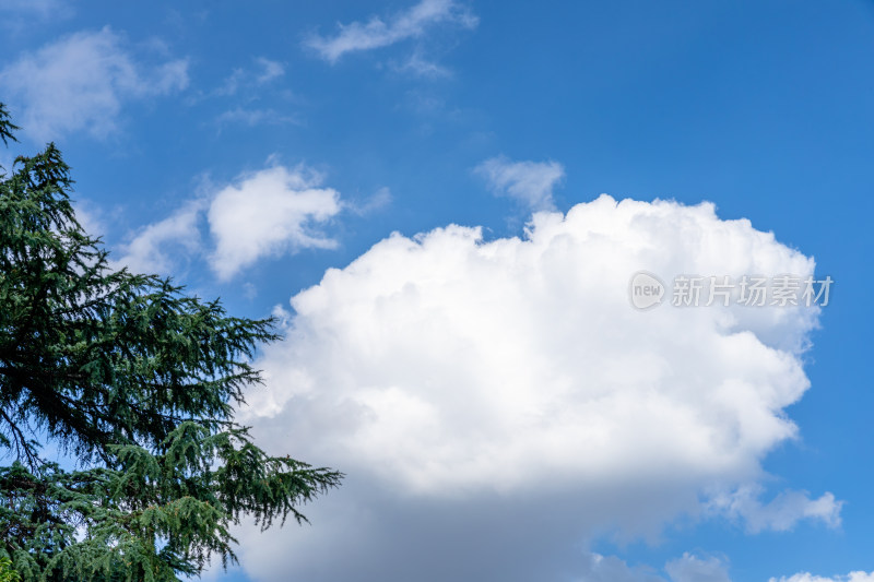 蓝天白云 天空