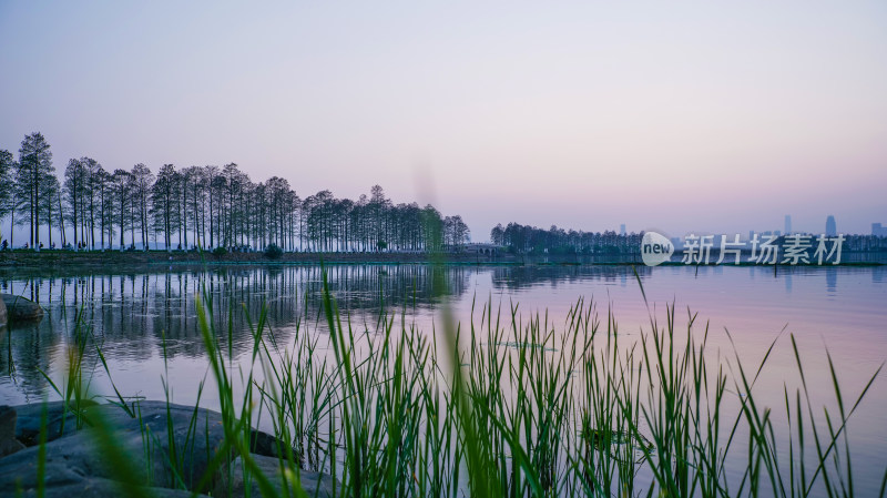 东湖落雁景区鹅咀