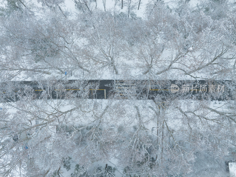 武汉东湖风景区雪景风光