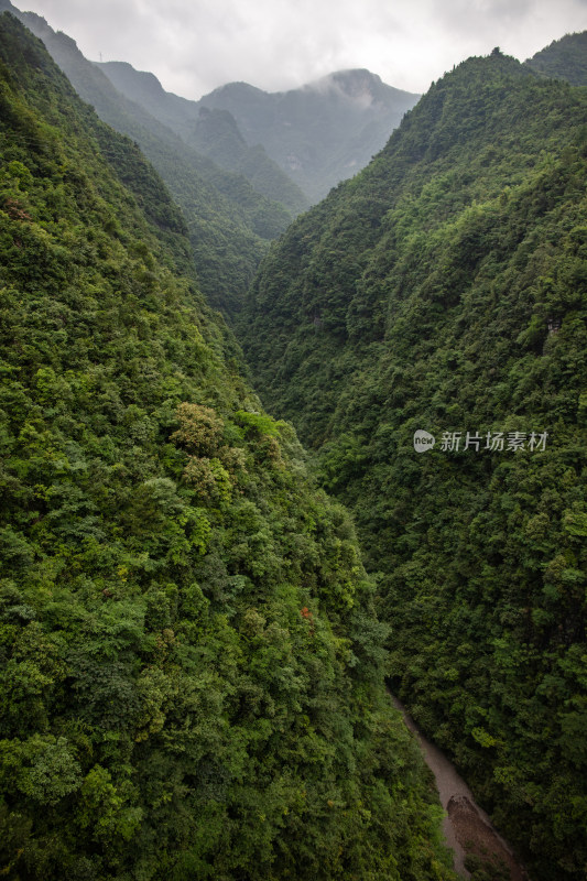 森林山川