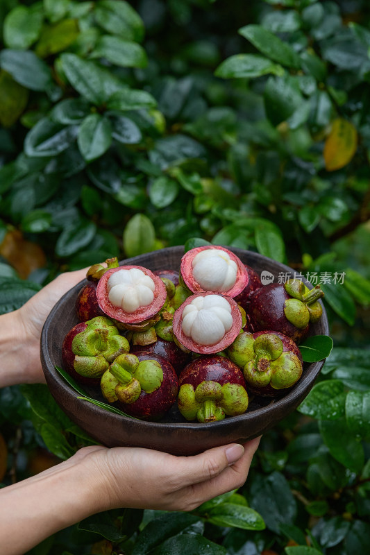 新鲜山竹  泰国新鲜山竹 山竹 山竹果肉