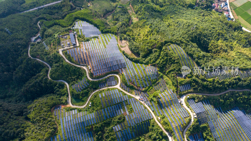 太阳能发电站新能源光伏发电 节能减排