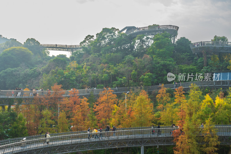 福州福道行人漫步山林间环形步道