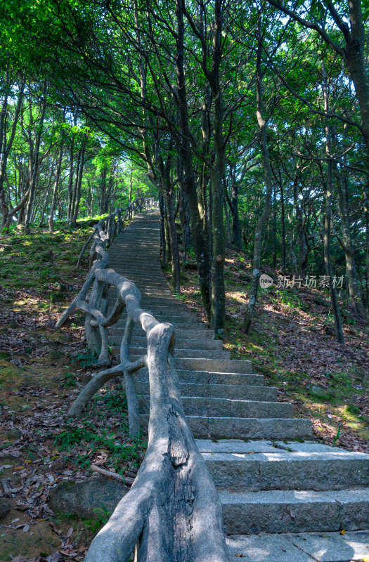 深圳梧桐山盐田登山栈道阶梯林荫步道