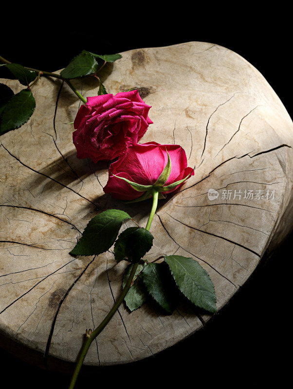 木制板子上的红色玫瑰花