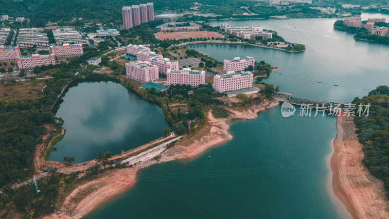 仰恩大学