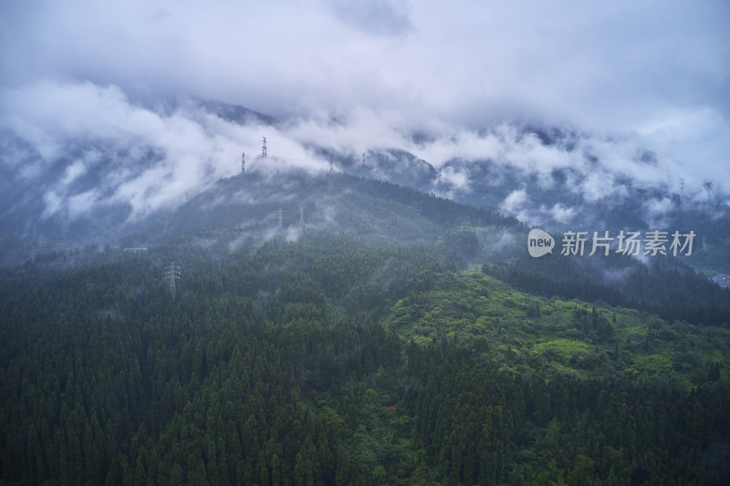 峨眉山的原始森林