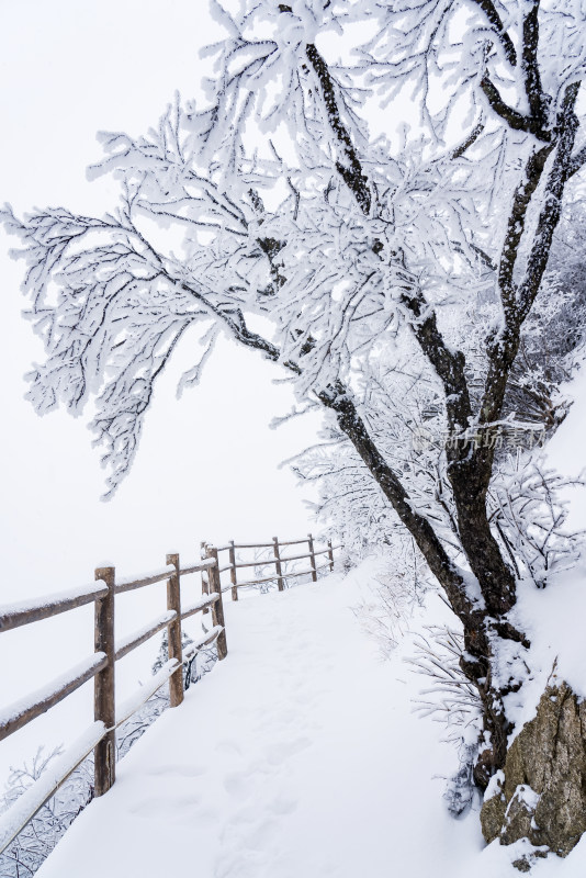 寒冷冬季景区雪后栈道