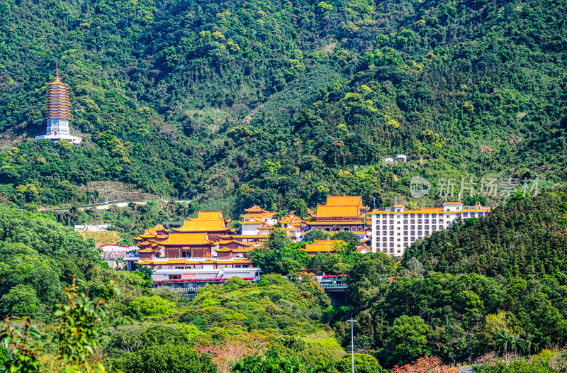 深圳仙葫植物园半山森林与弘法寺古建筑