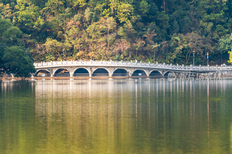 广东省深圳市仙湖植物园自然风光观景台