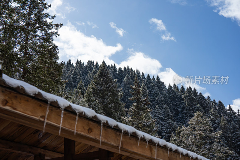 积雪木屋屋顶与雪后森林的清新景象