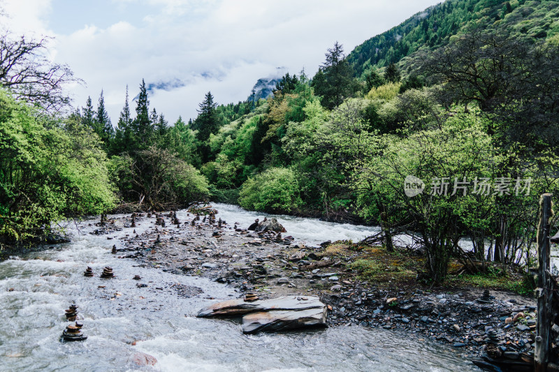 阿坝州四姑娘山长坪沟