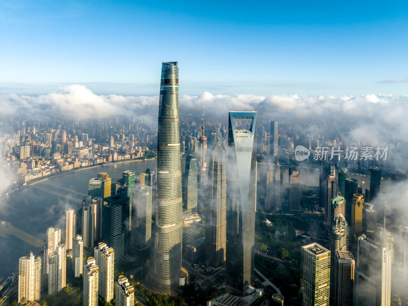 上海云海 平流雾 上海穿云 2024上海