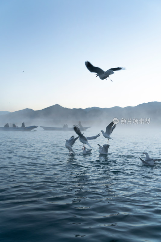 泸沽湖冬天唯美晨雾冬景