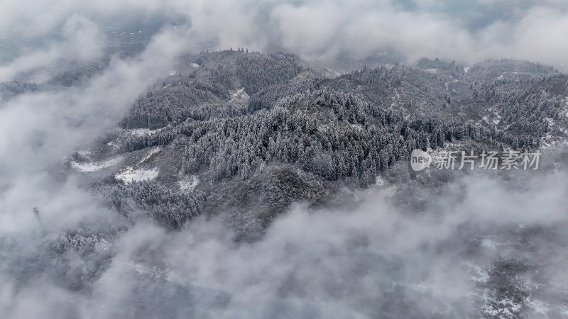 重庆酉阳：大雪纷飞赏雪忙