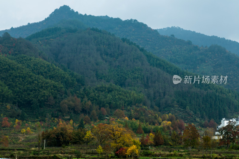 安徽黟县卢村