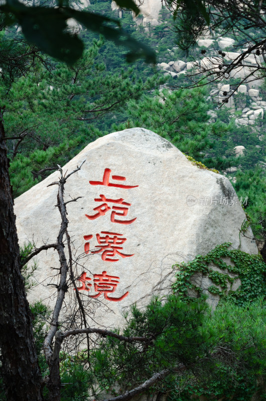 青岛崂山仰口景区，石头上刻“上苑仙境”