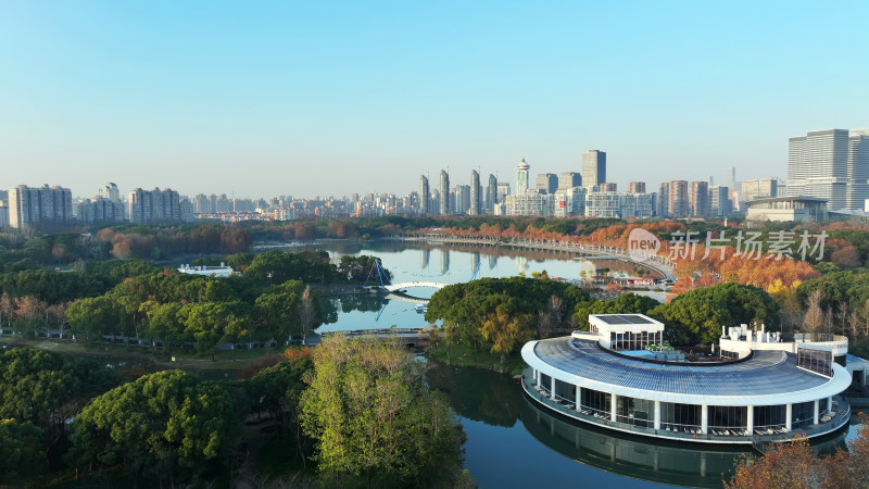 上海世纪公园秋天风景