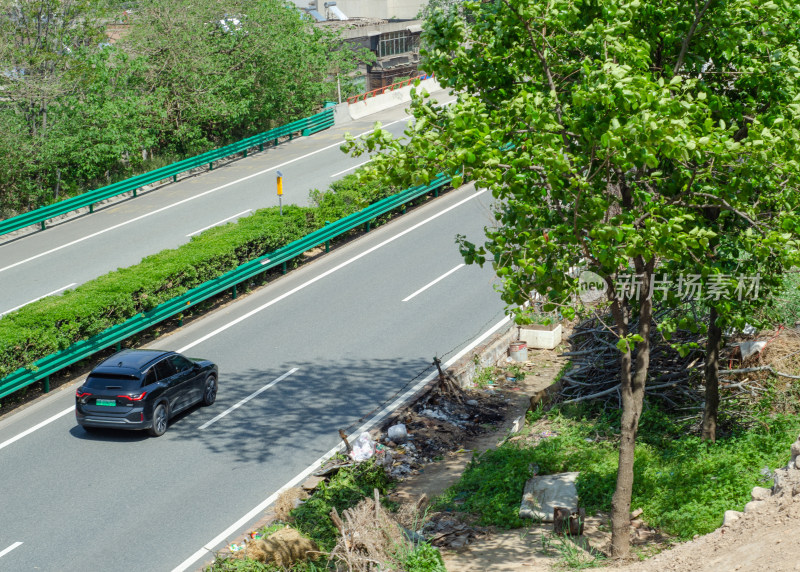 公路旁绿树与行驶汽车