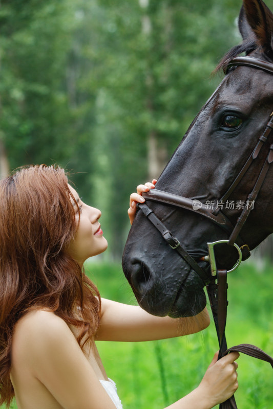 漂亮的年轻女人深情的抚摸着马