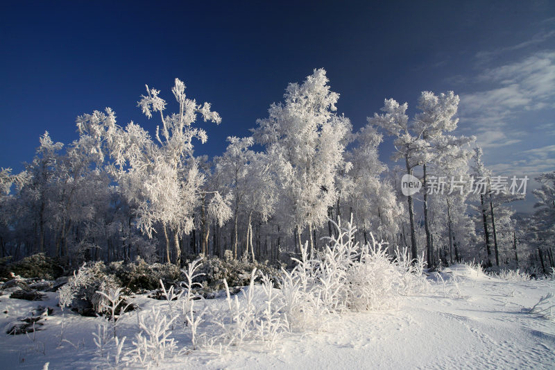 大兴安岭冬季林海雪原冰雪风光