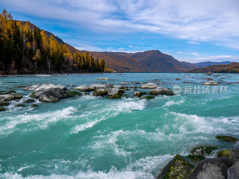 喀纳斯河风景