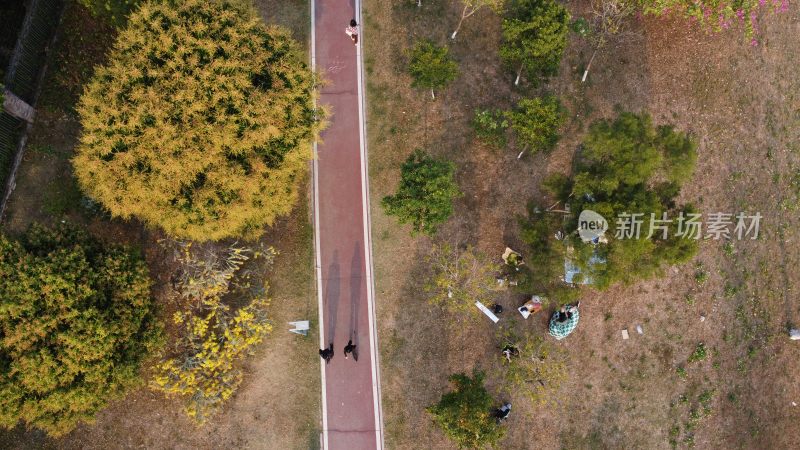 广东东莞：人们在树下草地搭起帐篷露营