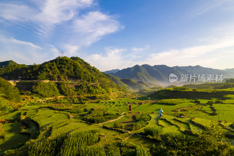 山间梯田田园风光景色