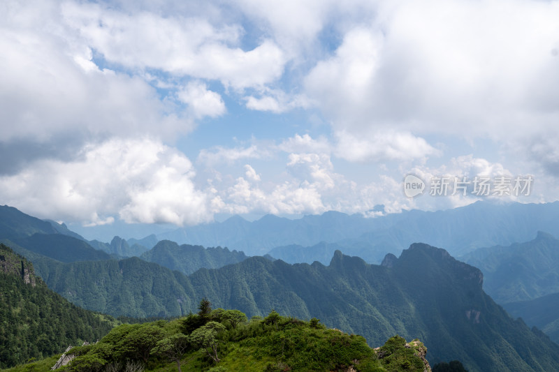 高山森林蓝天白云自然