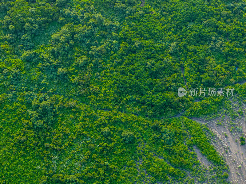 福田红树林自然保护区