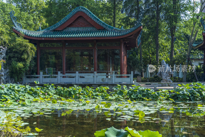 武汉江岸区解放公园风景