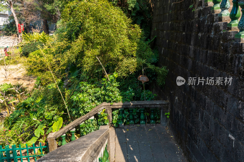 福州春天绿意盎然的冶山春秋公园景色