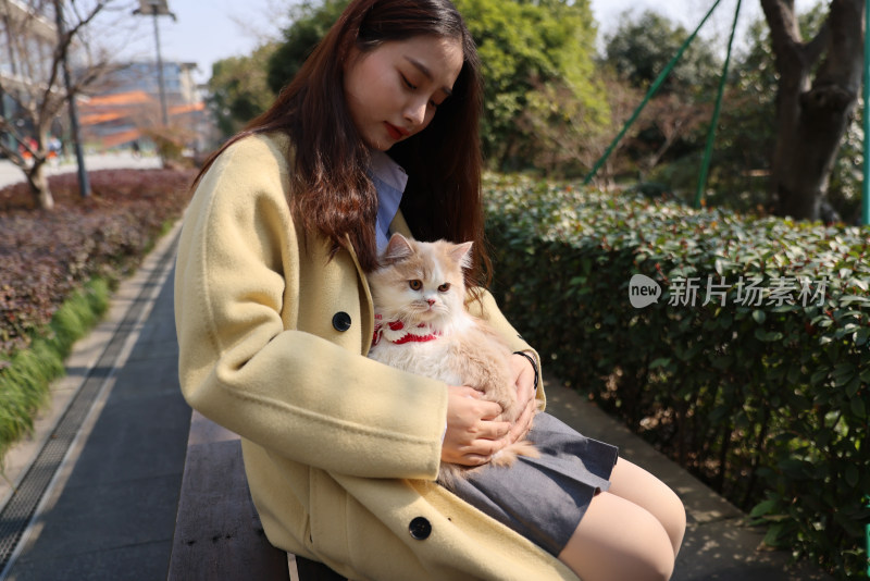 一个美女与宠物英国长毛猫的温馨互动