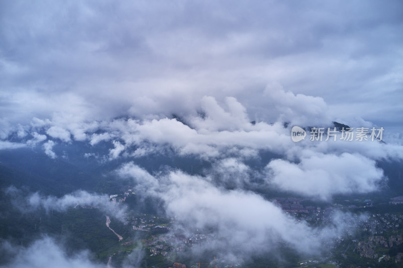 峨眉山的原始森林