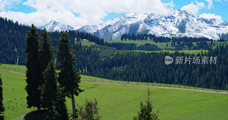 航拍草原雪山风景自然风光