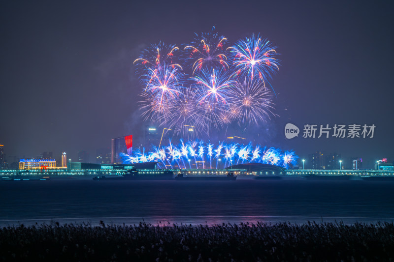 新年夜空中绽放的烟火