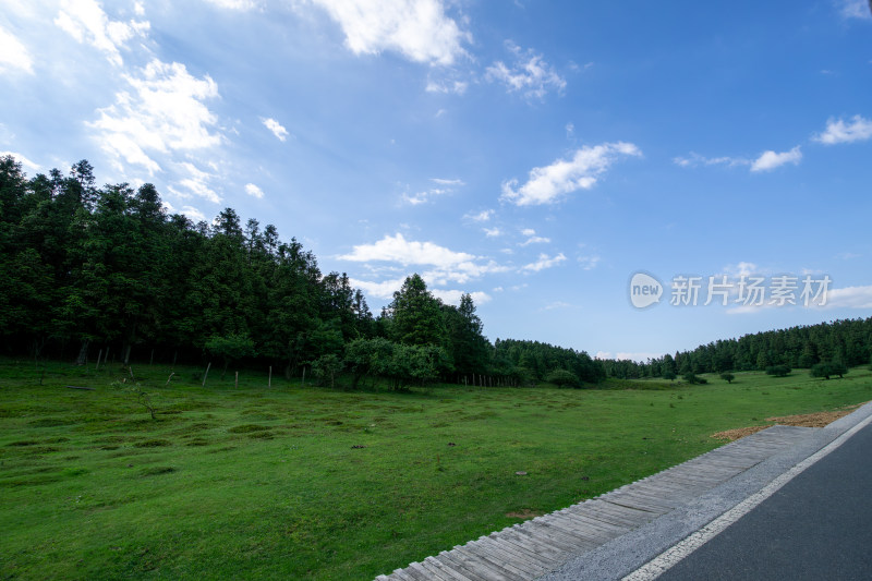 重庆市武隆区仙女山国家森林公园