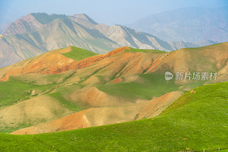 青海祁连县卓尔山景区，夏季起伏的高山牧场