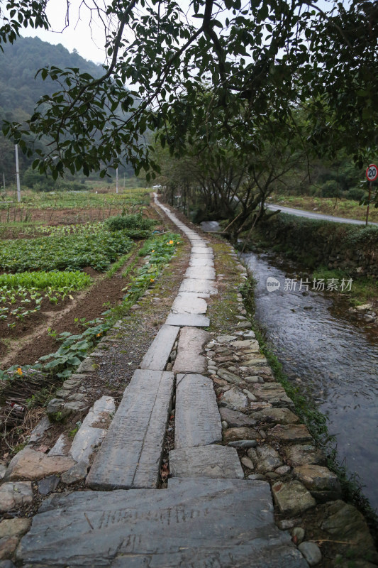 石板路与溪流