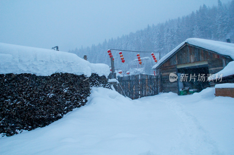 冬天清晨哈尔滨雪乡美丽风光