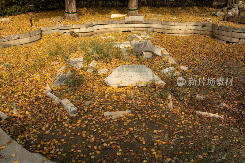 北京圆明园西洋楼遗址秋日落叶与建筑残骸