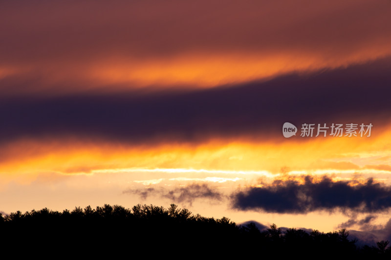 大自然森林树木旅行徒步野营