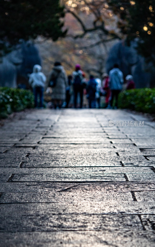 游客参观南京明孝陵石象路神道石像古迹场景